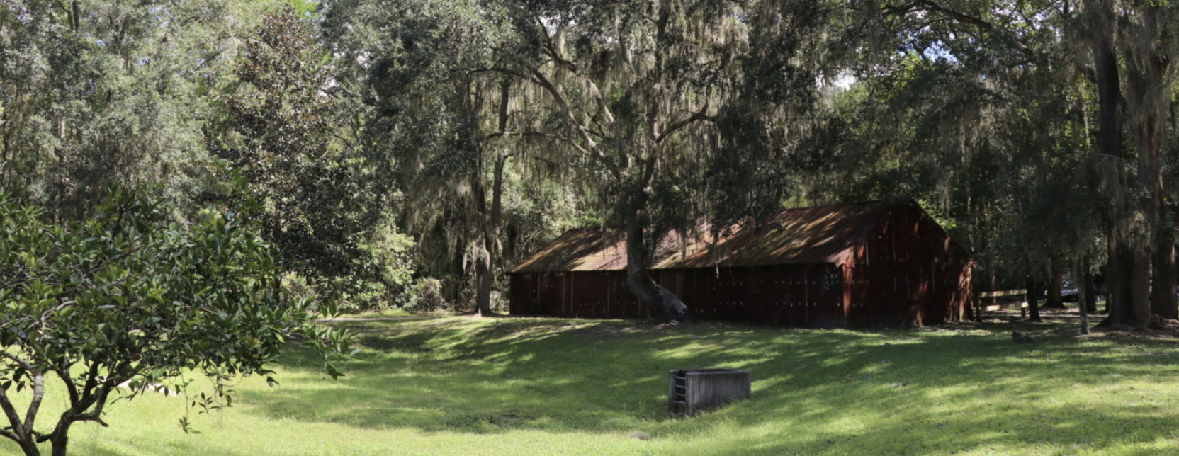 Art and Nature Walk: Bartram's Edition